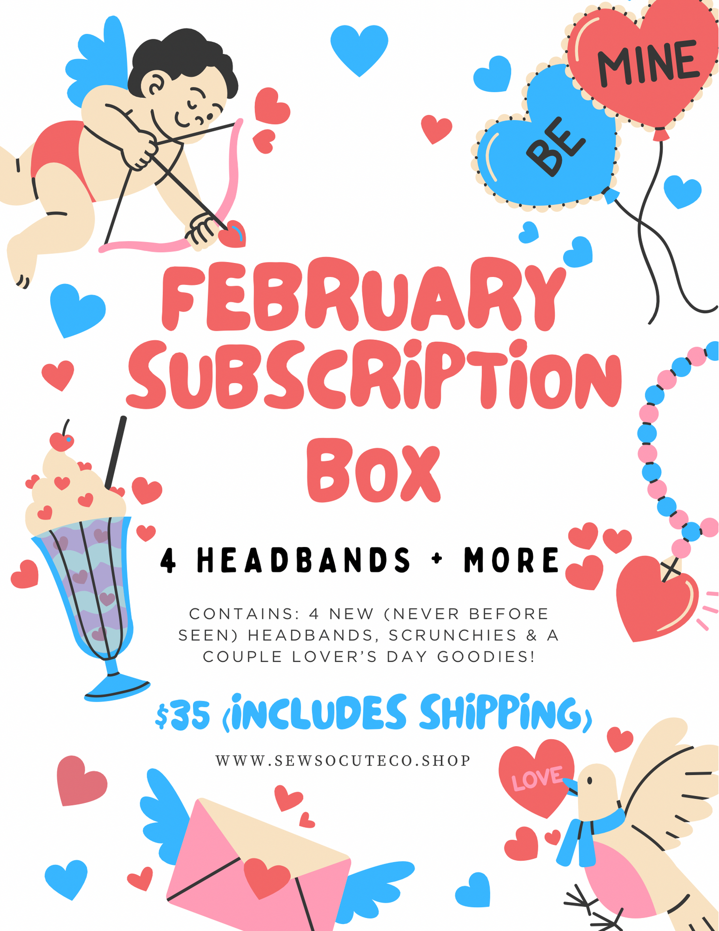 February Subscription Box