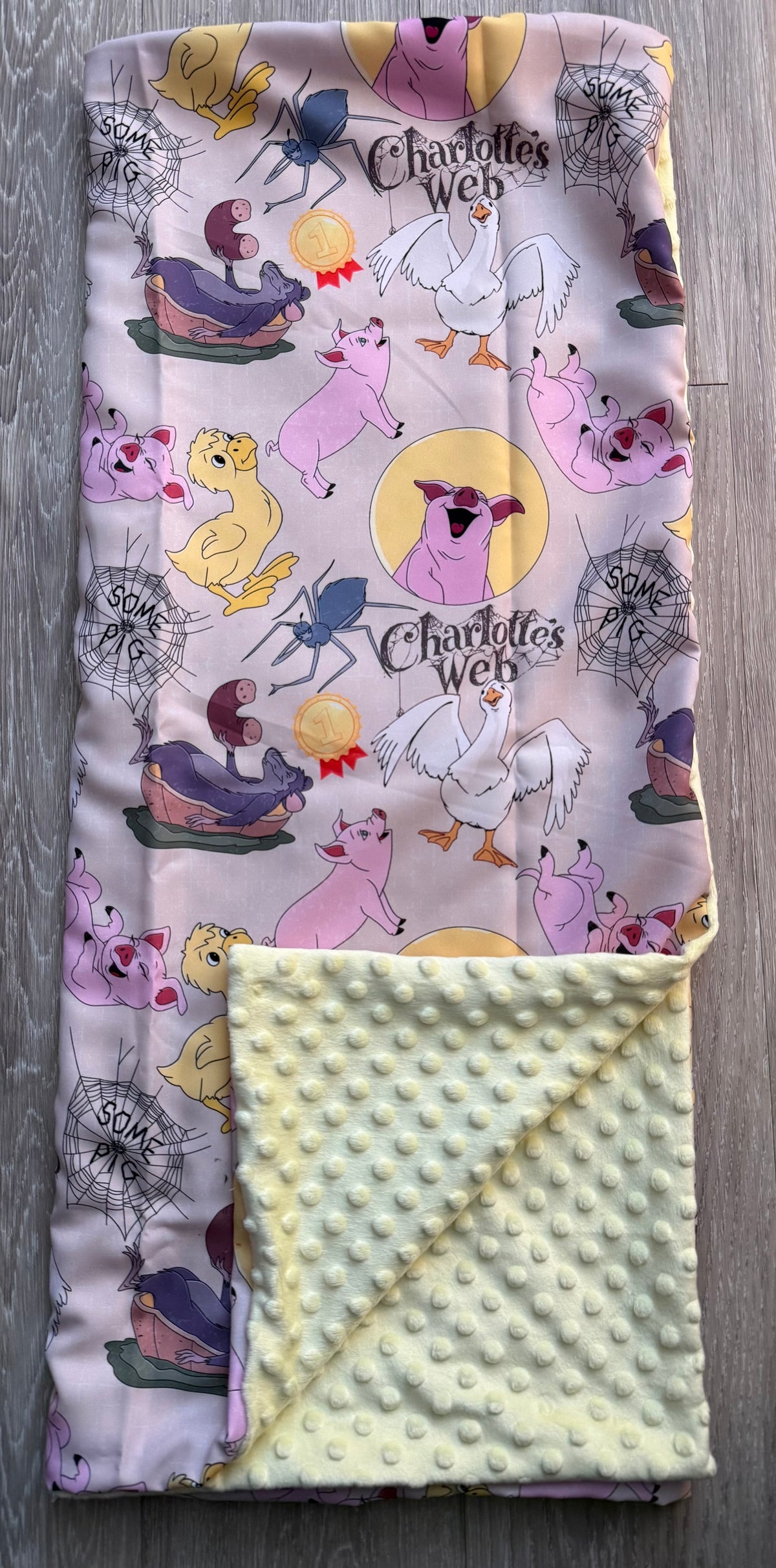 RTS - Charlotte’s Web
