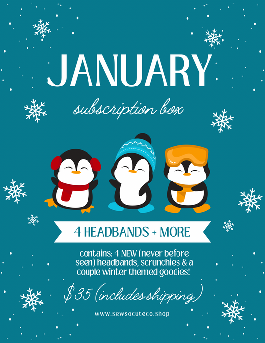January Subscription Box