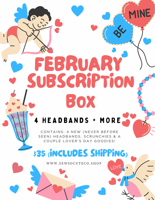 February Subscription Box