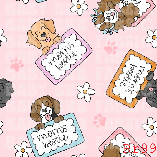 Preorder - SSCRR99