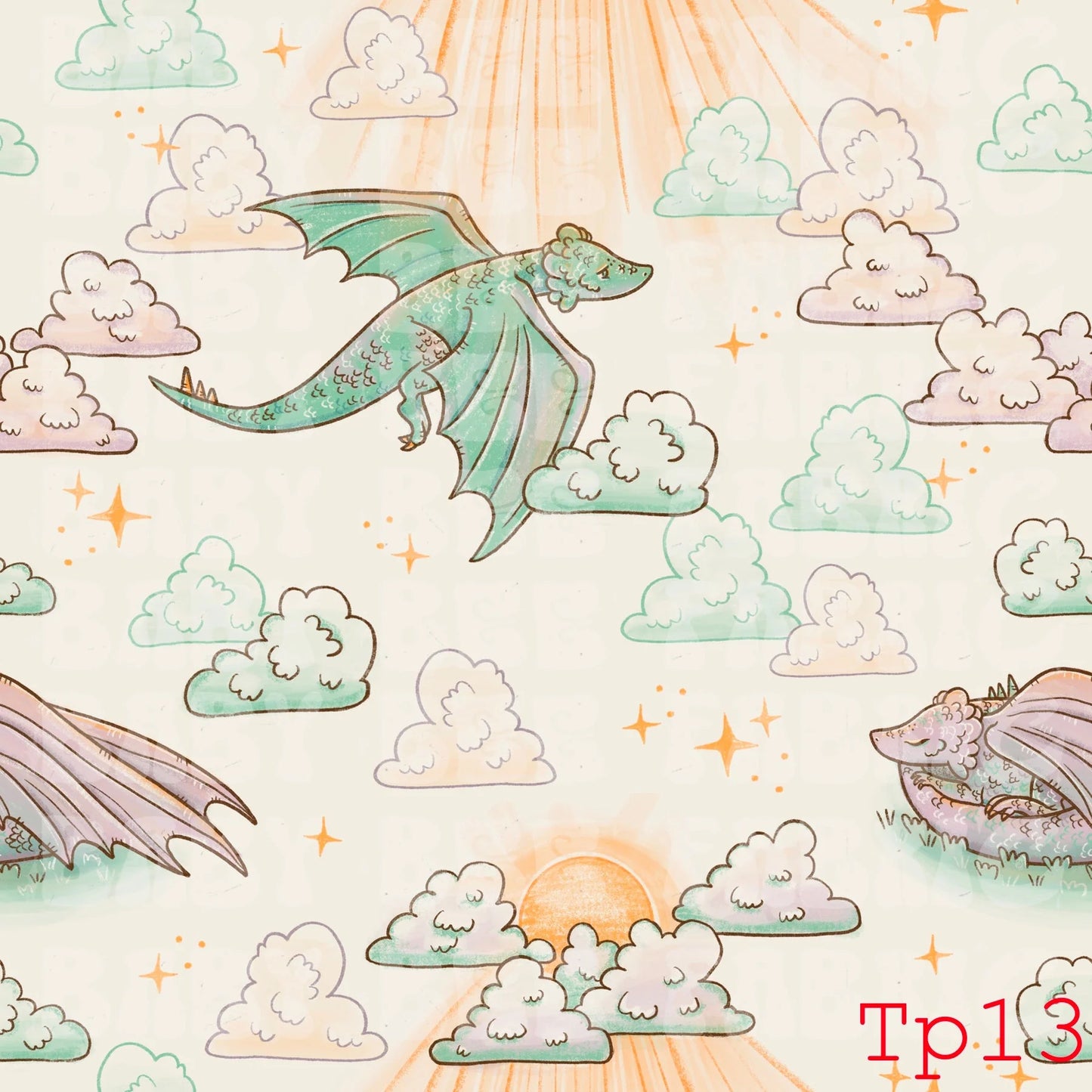 Preorder - SSCTP13