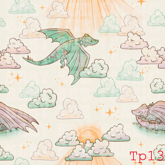 Preorder - SSCTP13